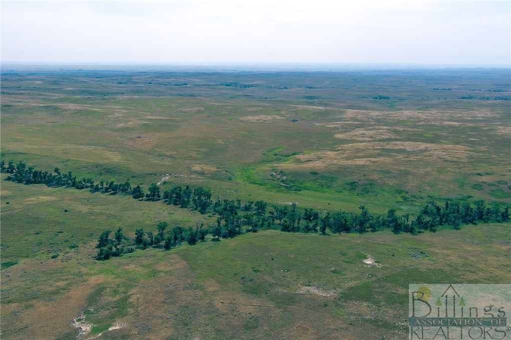 "5736 +/- Acres" NHN Straub Access Rd Plevna, MT ROAD, Other, MT 59344 photo 26