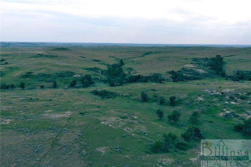 "5736 +/- Acres" NHN Straub Access Rd Plevna, MT ROAD, Other, MT 59344 photo 3