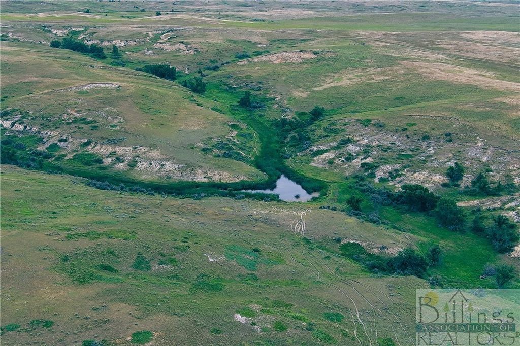 "5736 +/- Acres" NHN Straub Access Rd Plevna, MT ROAD, Other, MT 59344 photo 4