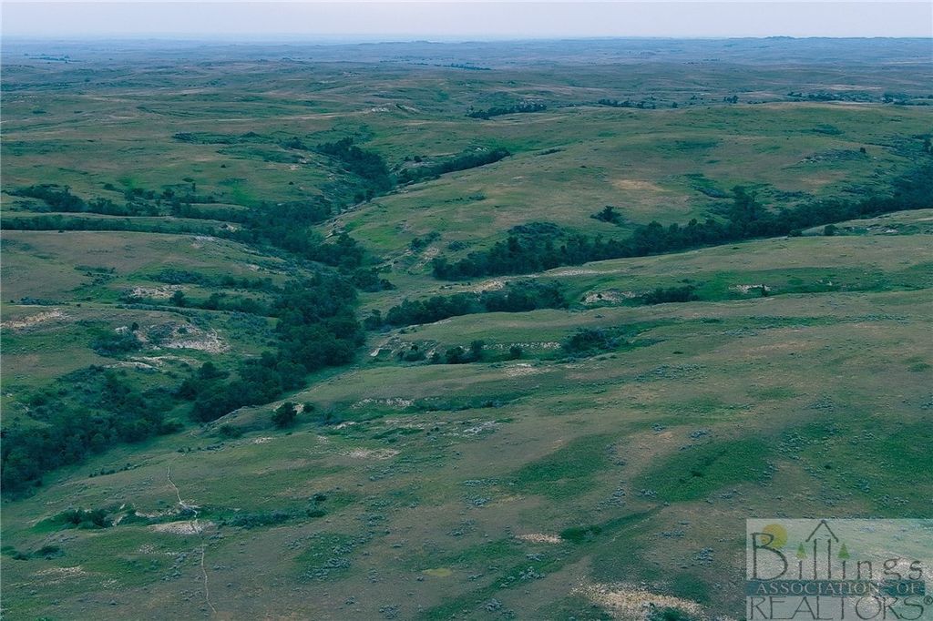 "5736 +/- Acres" NHN Straub Access Rd Plevna, MT ROAD, Other, MT 59344 photo 7