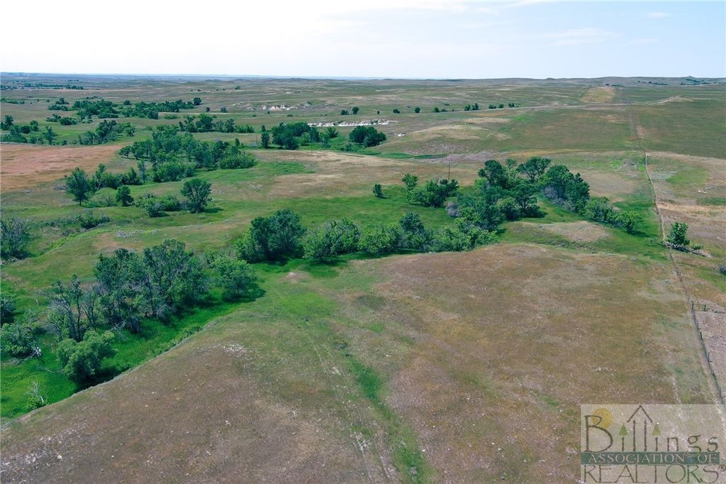 "5736 +/- Acres" NHN Straub Access Rd Plevna, MT ROAD, Other, MT 59344 photo 8