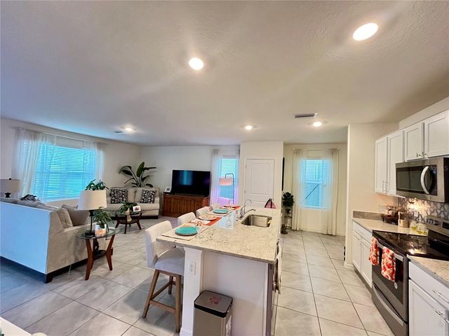 17032 OVAL RUM DRIVE, Wimauma, FL 33598