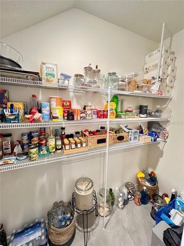 17032 OVAL RUM DRIVE, Wimauma, FL 33598