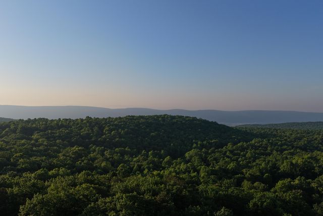 143 Tunnie Point, Dunlap, TN 37327