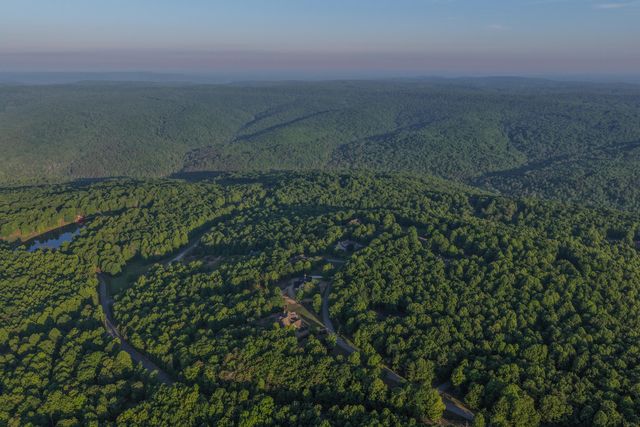 143 Tunnie Point, Dunlap, TN 37327
