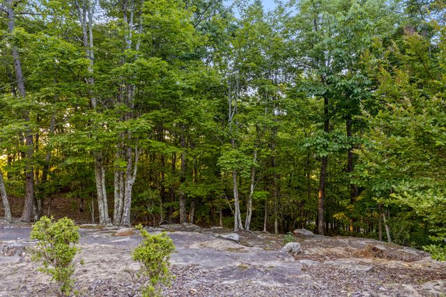 143 Tunnie Point, Dunlap, TN 37327