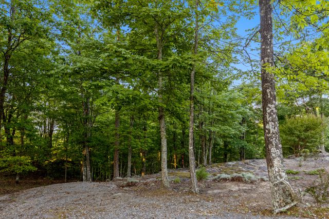 143 Tunnie Point, Dunlap, TN 37327