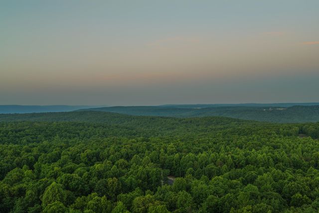 143 Tunnie Point, Dunlap, TN 37327