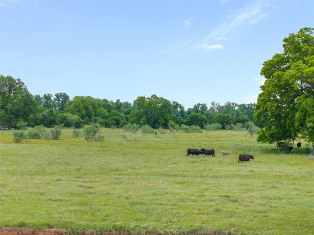 000 Terminus Of Cr 227, Caldwell, TX 77836