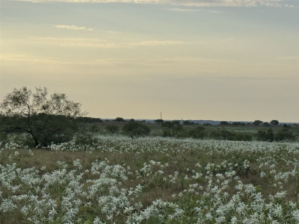 173 Private Road 4512, Decatur, TX 76234 — photo 2