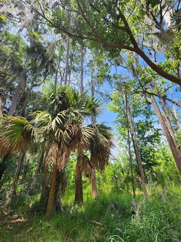 ARROWHEAD BOULEVARD, Winter Garden, FL 34787