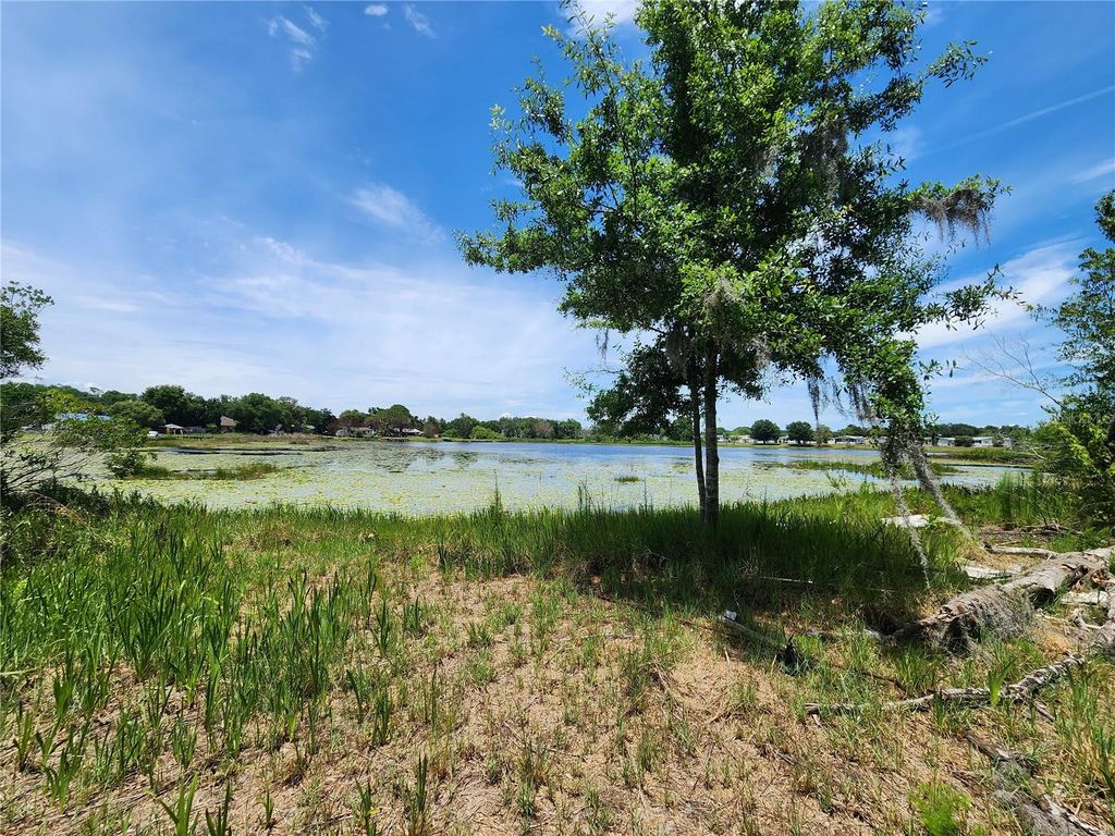 ARROWHEAD BOULEVARD, Winter Garden, FL 34787