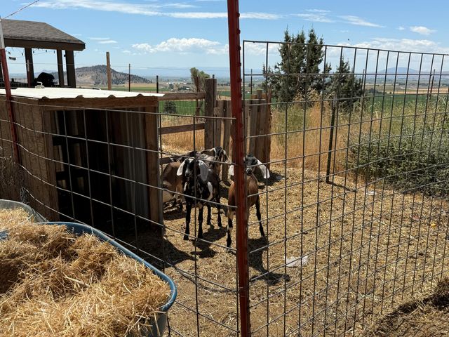 17550 Maupin Road, Malin, OR 97632