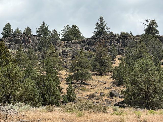 17550 Maupin Road, Malin, OR 97632