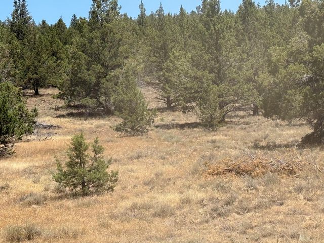 17550 Maupin Road, Malin, OR 97632