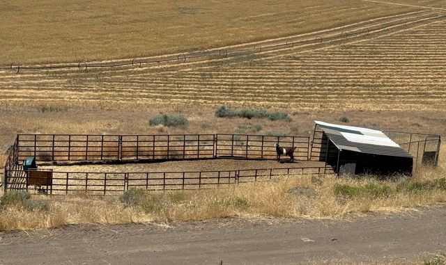 17550 Maupin Road, Malin, OR 97632