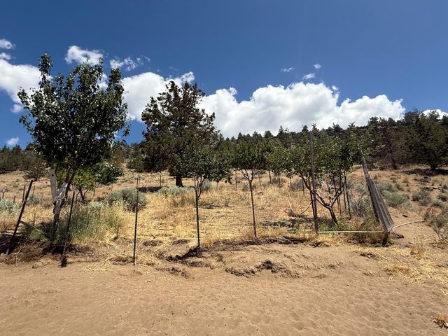 17550 Maupin Road, Malin, OR 97632