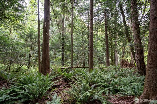0 NHN E Horton Road, Bellingham, WA 98226