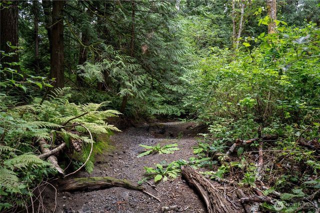 0 NHN E Horton Road, Bellingham, WA 98226