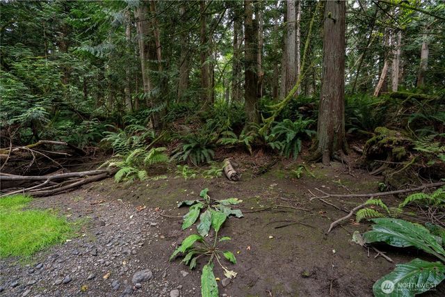 0 NHN E Horton Road, Bellingham, WA 98226