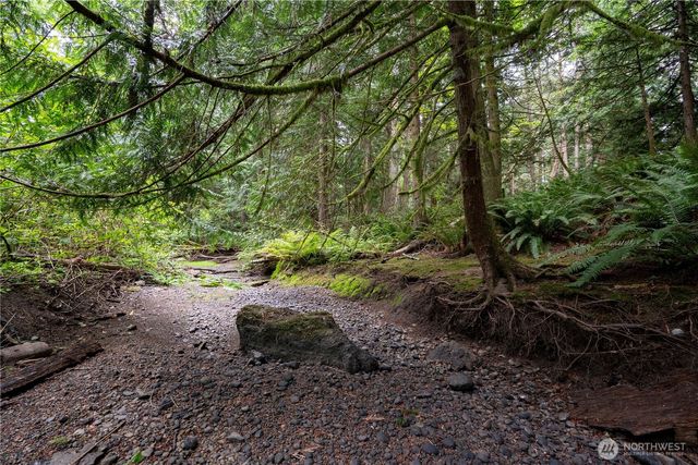 0 NHN E Horton Road, Bellingham, WA 98226