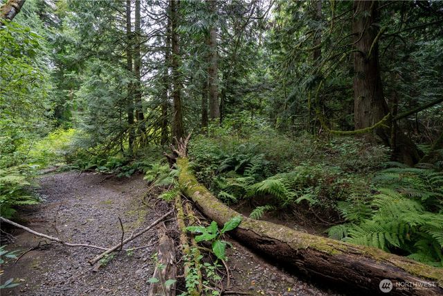 0 NHN E Horton Road, Bellingham, WA 98226
