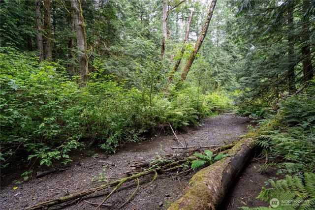 0 NHN E Horton Road, Bellingham, WA 98226