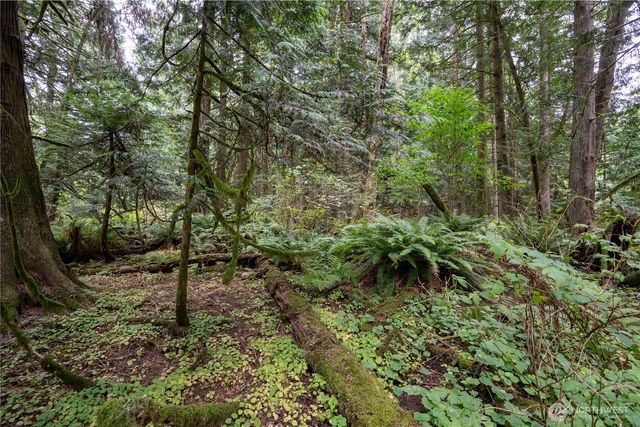 0 NHN E Horton Road, Bellingham, WA 98226