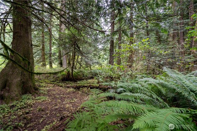 0 NHN E Horton Road, Bellingham, WA 98226