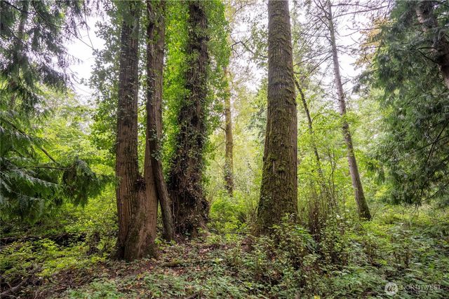0 NHN E Horton Road, Bellingham, WA 98226