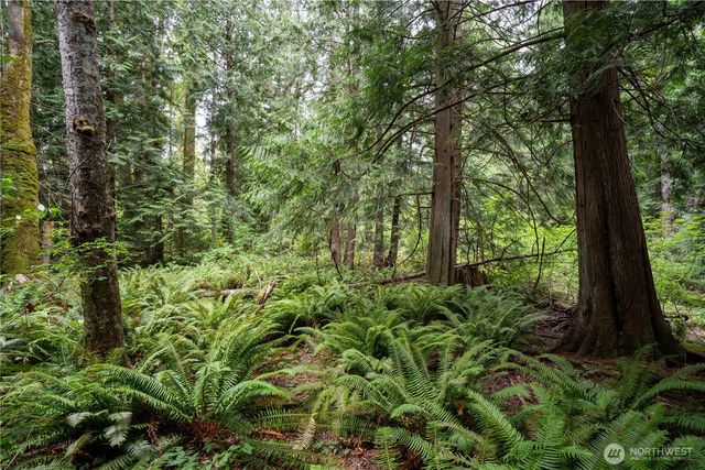 0 NHN E Horton Road, Bellingham, WA 98226