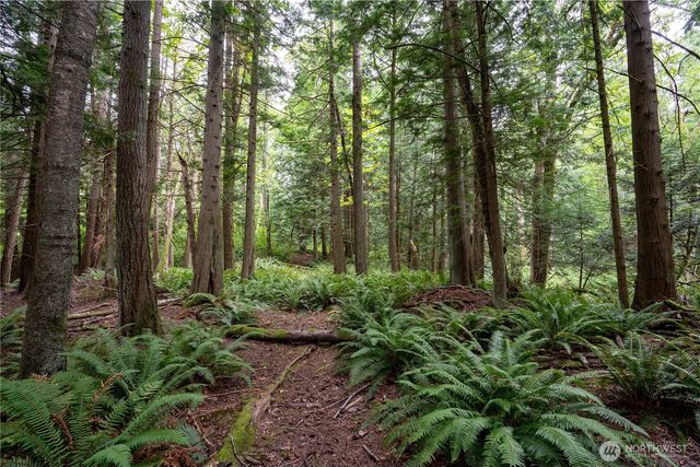 0 NHN E Horton Road, Bellingham, WA 98226