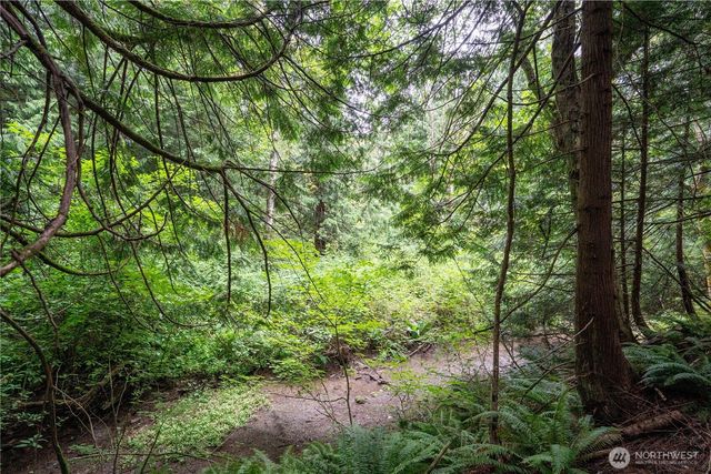 0 NHN E Horton Road, Bellingham, WA 98226