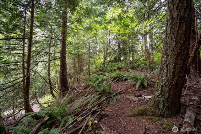 0 NHN E Horton Road, Bellingham, WA 98226