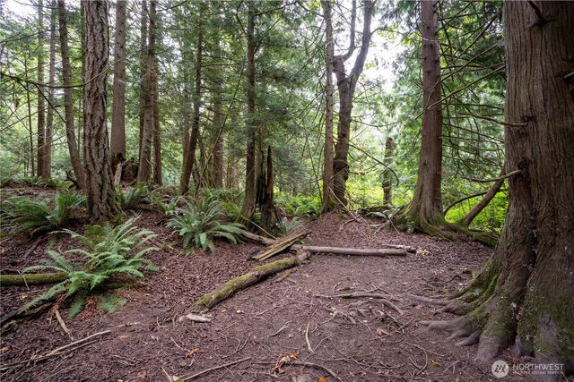 0 NHN E Horton Road, Bellingham, WA 98226