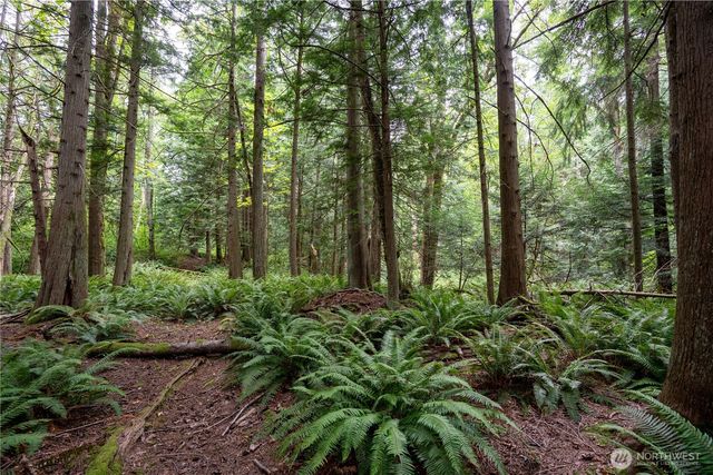 0 NHN E Horton Road, Bellingham, WA 98226