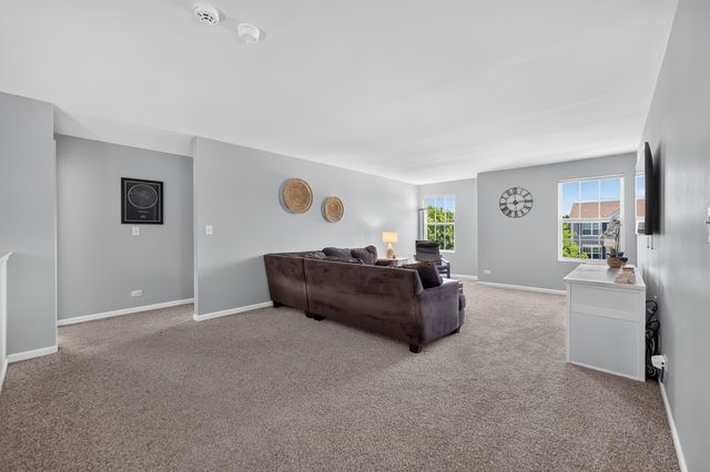 162 Hibiscus Lane, Elgin, IL 60124