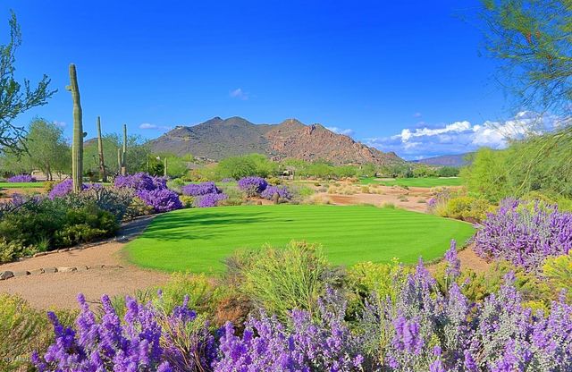 6960 E WHISPERING MESQUITE Trail, Scottsdale, AZ 85266
