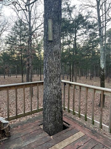 351 Grady, Shirley, AR 72153