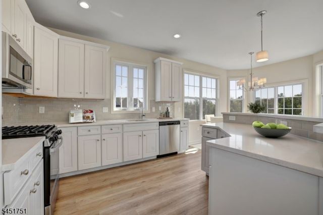 48 Norton Rd, Hillsborough Twp., NJ 08844