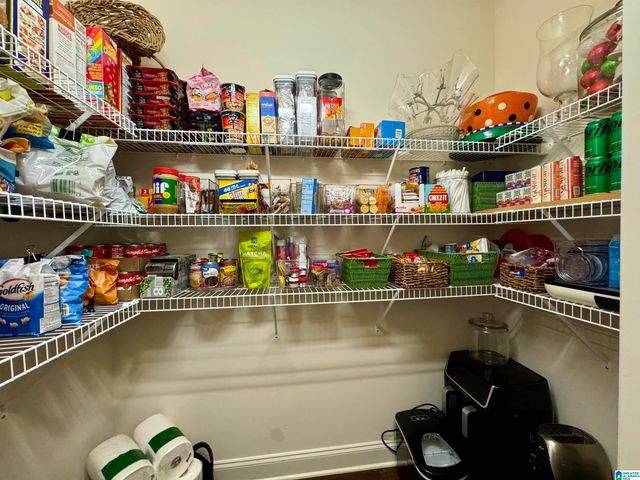 599 CHELSEA STATION CIRCLE, Chelsea, AL 35043