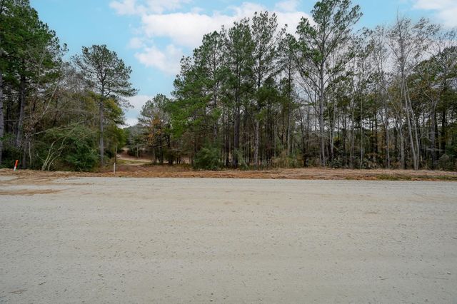 132 Heartland Road, New Waverly, TX 77358