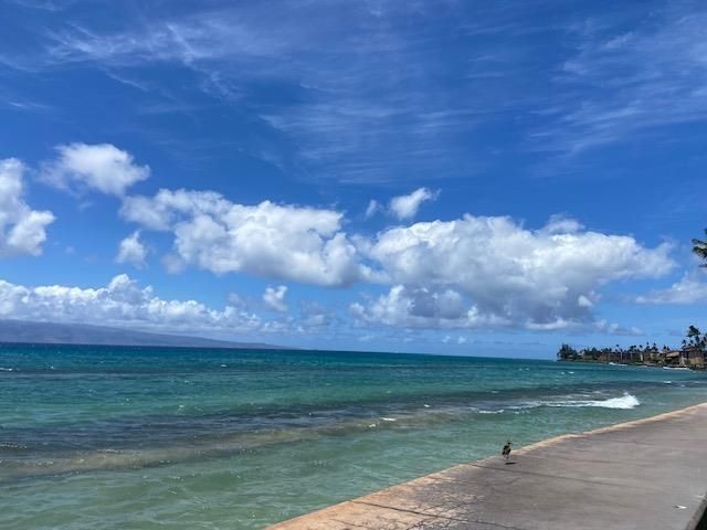 3559 Lower Honoapiilani Rd # 3G, Lahaina, HI 96761