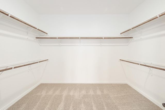 1228 Calendula TRL, Georgetown, TX 78628