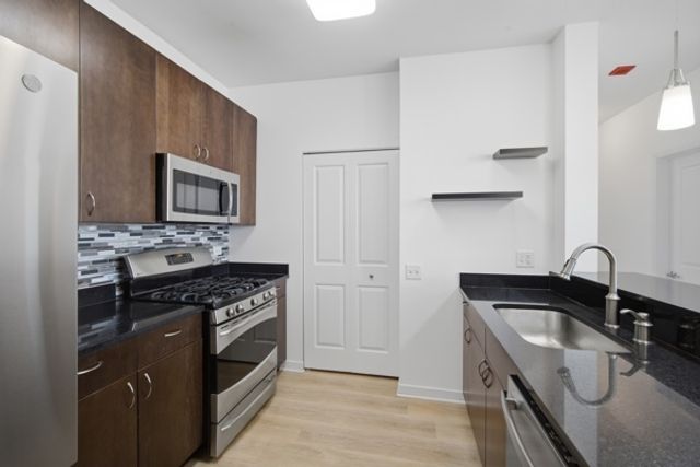 757 N Orleans Street 1012, Chicago, IL 60654