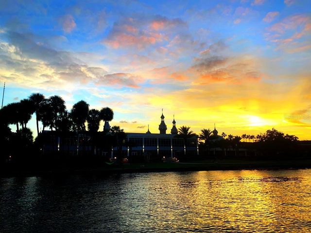 6605 N BOULEVARD, Tampa, FL 33604