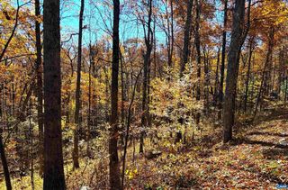 107 FIRTREE DR, Wintergreen Resort, VA 22967