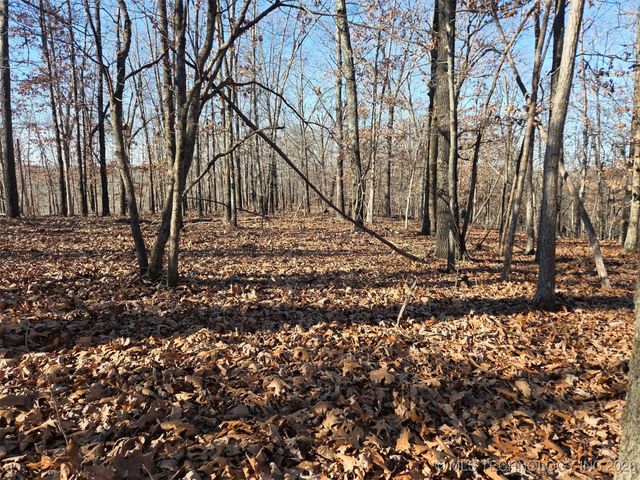 Pigeon Ridge, Proctor, OK 74457