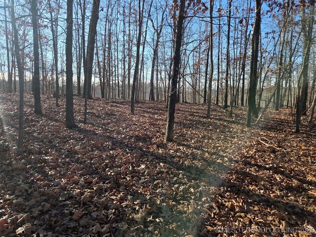 Pigeon Ridge, Proctor, OK 74457