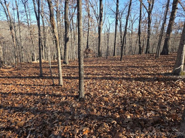 Pigeon Ridge, Proctor, OK 74457